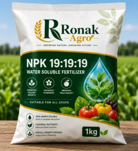 NPK 19:19:19 Water Soluble Fertilizer (1kg)