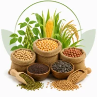 Field Crop Seeds