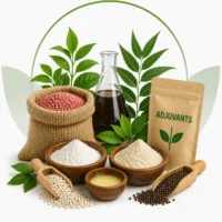 Adjuvants