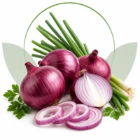 Onion