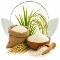Rice